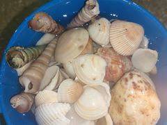 -碧桂园十里银滩