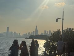 -深圳湾公园(南山区)