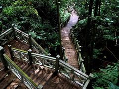 -南宁良凤江国家森林公园