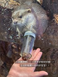 -Zoolung Zoolung动物主题公园(海信广场店)