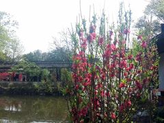 -上海醉白池公园