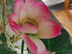 -荷塘秋月·本帮江浙菜(国权路店)