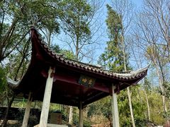 -灵栖洞天