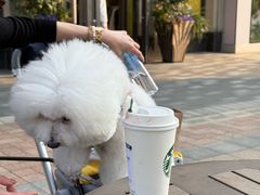 -比斯特上海购物村精品奥特莱斯
