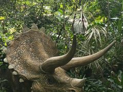 -广州长隆野生动物世界