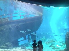 -福州罗源湾海洋世界旅游区