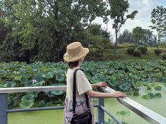 -月湖风景区