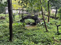 -中国大熊猫保护研究中心雅安碧峰峡基地
