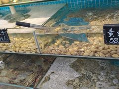 -北戴河庆山饭店·海鲜砂锅粥(北戴河黑石路店)