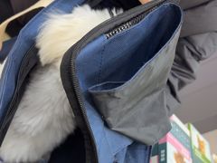 -天宠宠物医院24小时·急重症诊疗中心·全科·腔镜特色(和平分院)