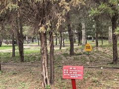 -森林公园(尖草坪区)