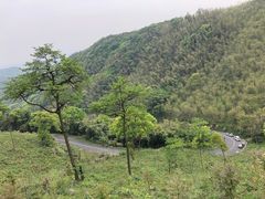 -东明山森林公园