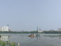 -莲花池公园