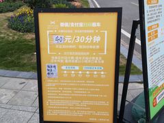 -芒洲湿地公园