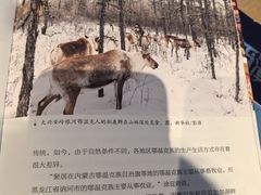 -仁义涵西餐·咖啡(中华巴洛克店)
