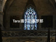 -巴塞罗那主教座堂