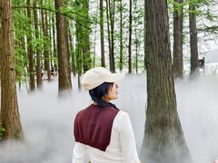 -东湖落雁景区