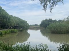 -沙家浜风景区