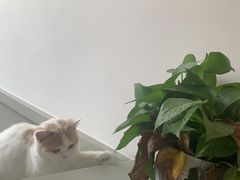 -宠颐生嘉德动物医院