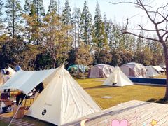 -前小桔亲子创意农场·草莓采摘·露营烧烤