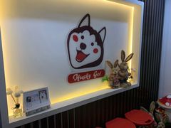 -Husky Go! 哈士奇体验馆·宠物咖啡厅狗咖
