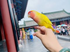 -开封府