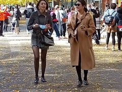 -三里屯东五街银杏大道