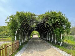 -同里国家湿地公园
