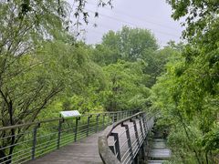 -西湖风景区-江洋畈生态公园