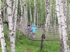 -哈乌尔河