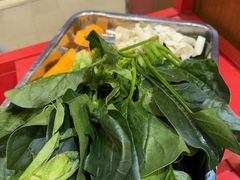 -金鼎雪山牦牛杂火锅(理县总店)