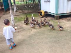 -草根堂农场