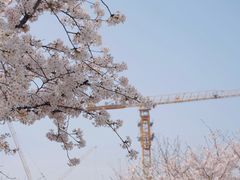 -龙美术馆(西岸馆)