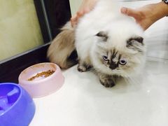 嘉宠动物医院-嘉宠动物医院