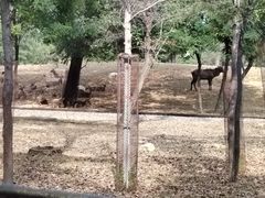 -秦皇岛野生动物园