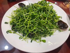 -赵记煎饼卷大葱(东岳店)