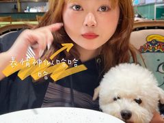 -more than meow吴止猫主题餐厅(承德 中船汇店)