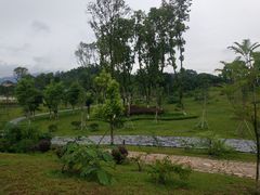 -东莞植物园
