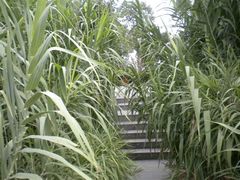 -艾溪湖湿地公园