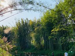 -红山村