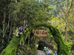 -龙湾潭国家森林公园