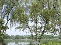 -燕郊植物园