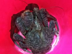-海盗餐厅