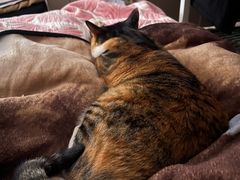 -新荟城(望京店)