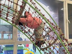 -福娃禧娃幼儿园