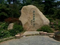 -西苑公园