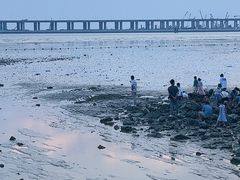 -宝安西湾红树林湿地公园