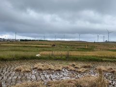 -贵州云顶草原民族风情园