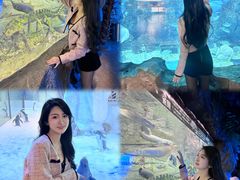 -芜湖新华联大白鲸海洋公园