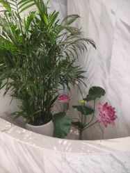 -武汉颜范薇美医疗美容门诊部